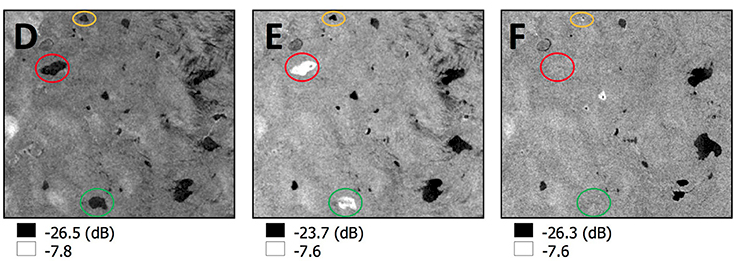 HH-Polarized SAR Intensity Imagery (Miles et al)3