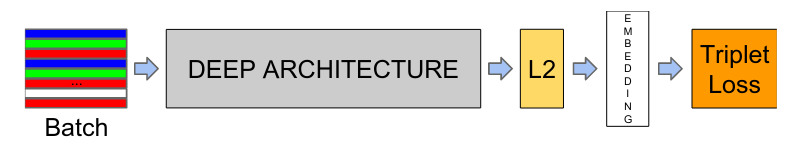 Model structure