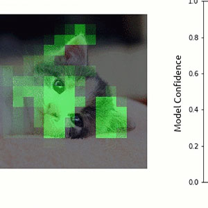 Seeing with Deep Learning: Advances and Risks