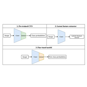 Improving Ensemble Robustness via Synthetic Latent Discriminative Representation (SLDR) Networks